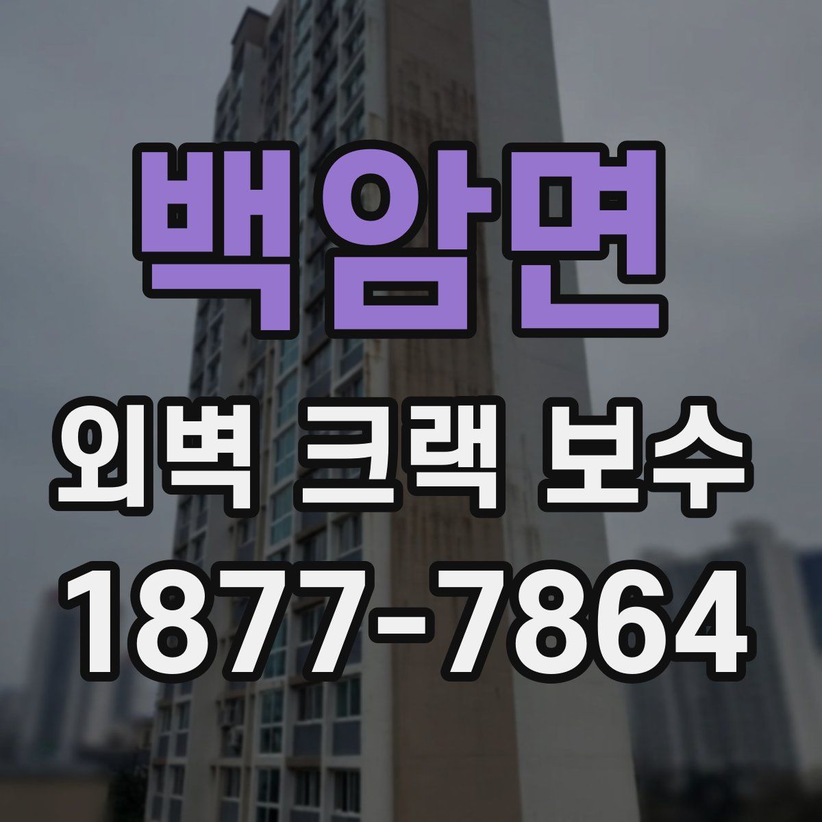 백암면 외벽 크랙 보수