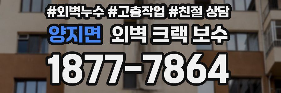 양지면 외벽 크랙 보수