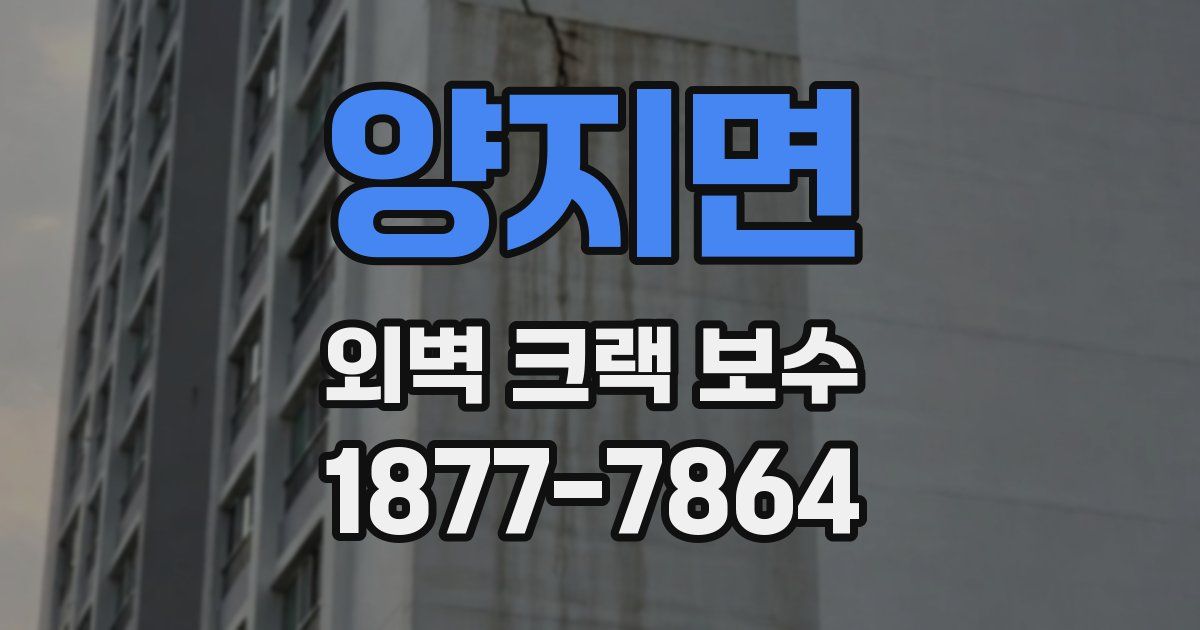 양지면 외벽 크랙 보수