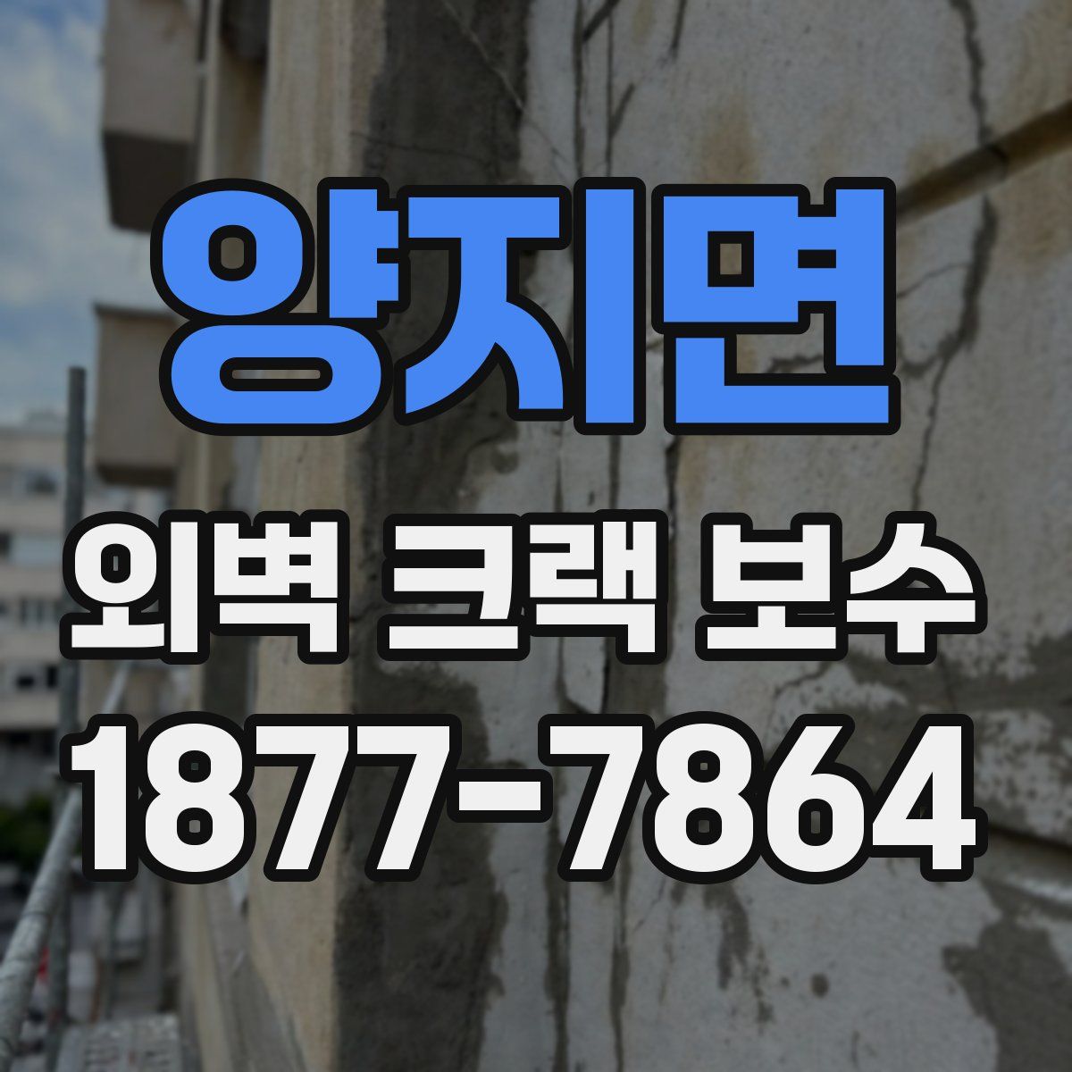 양지면 외벽 크랙 보수