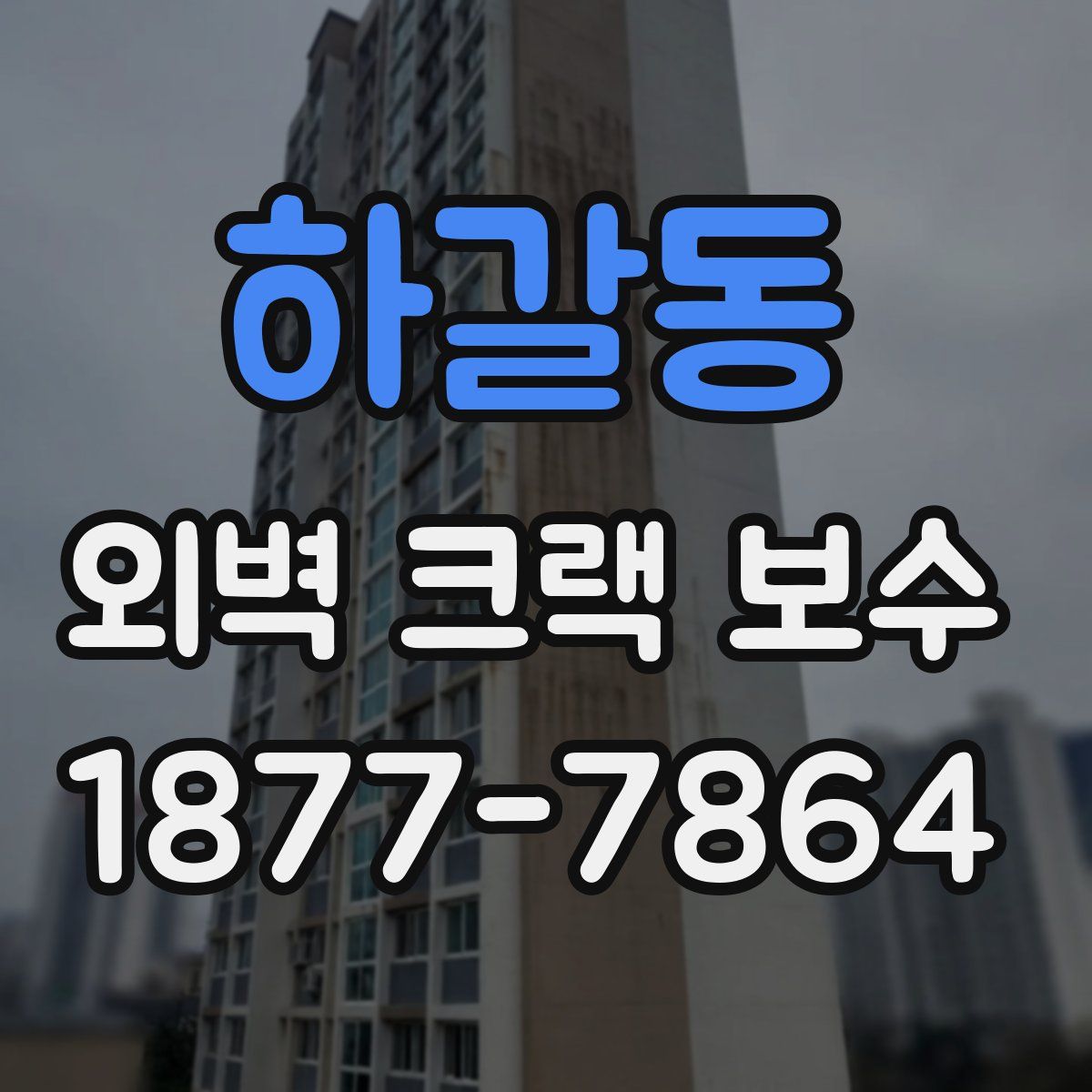 하갈동 외벽 크랙 보수