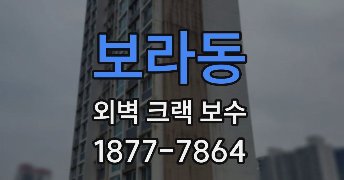 보라동 외벽 크랙 보수