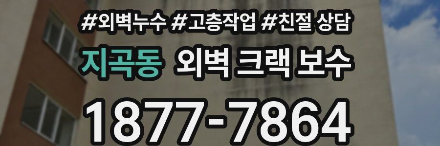 지곡동 외벽 크랙 보수