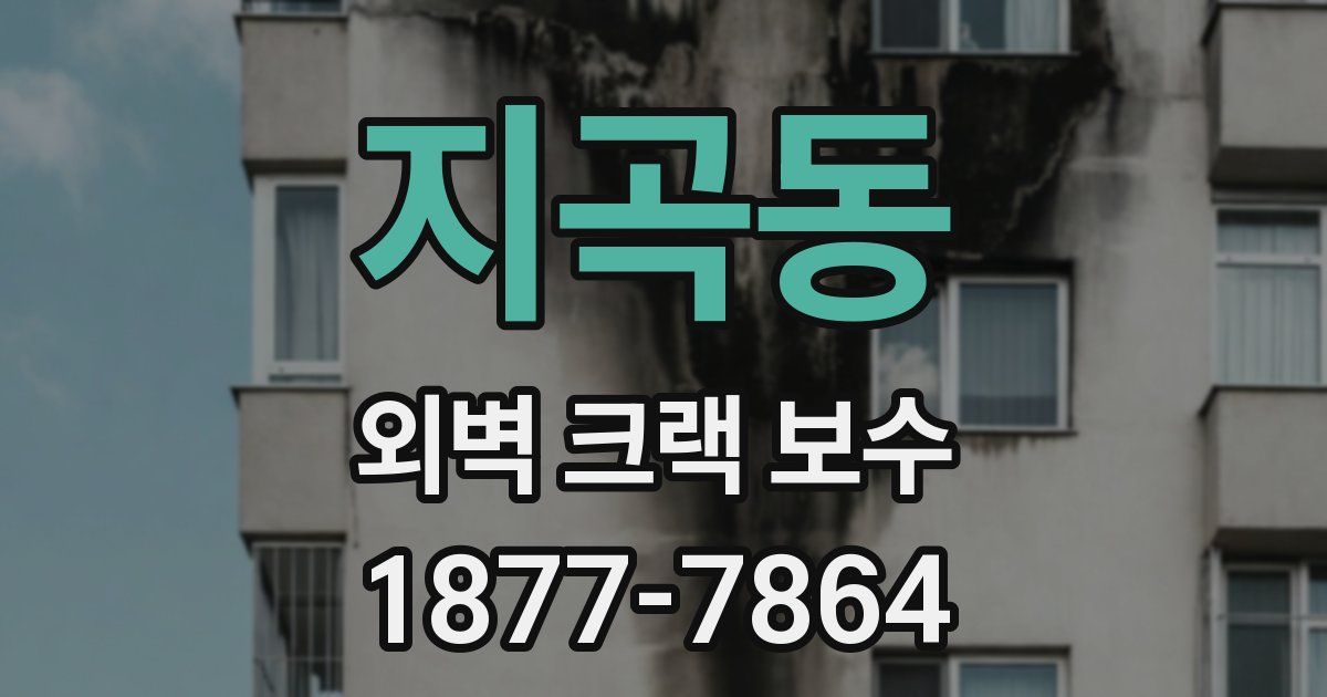 지곡동 외벽 크랙 보수