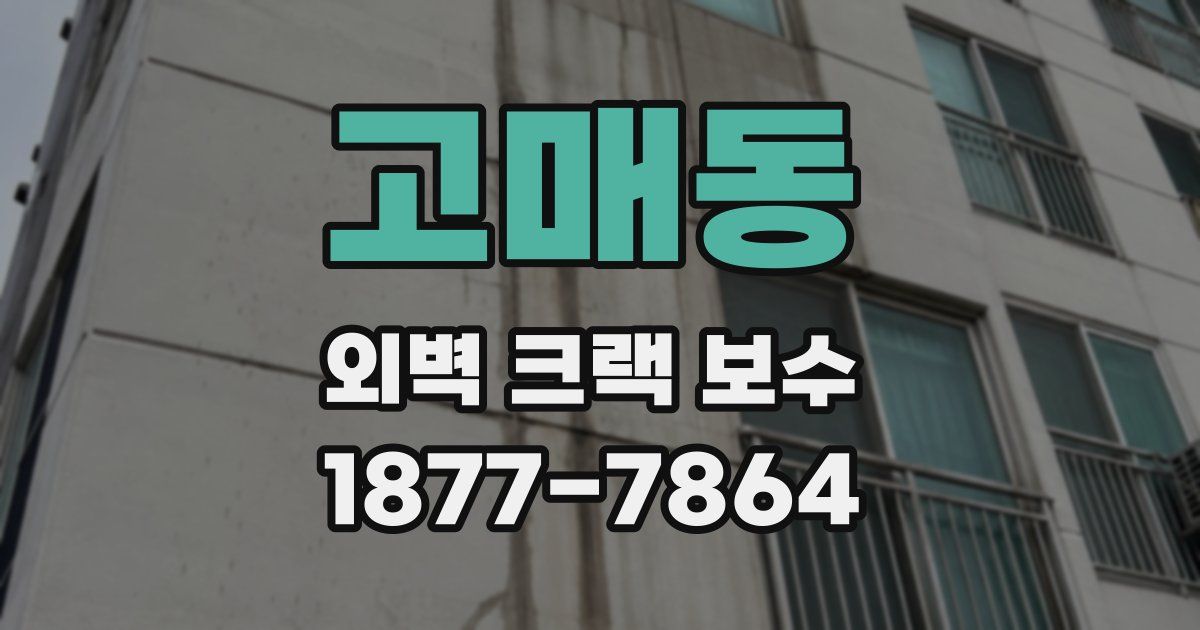 고매동 외벽 크랙 보수