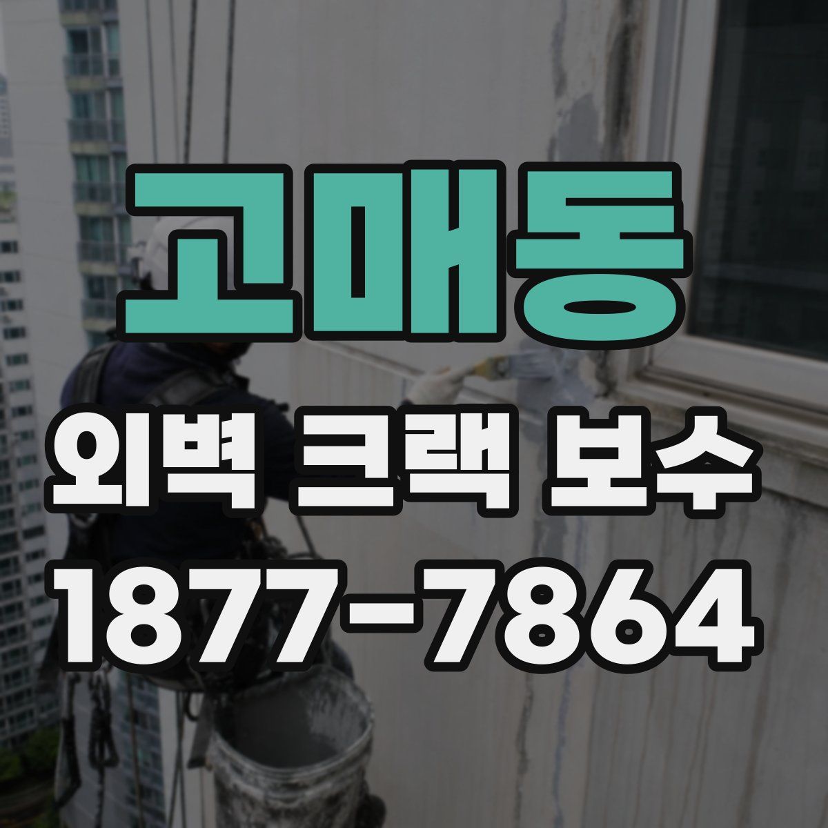 고매동 외벽 크랙 보수