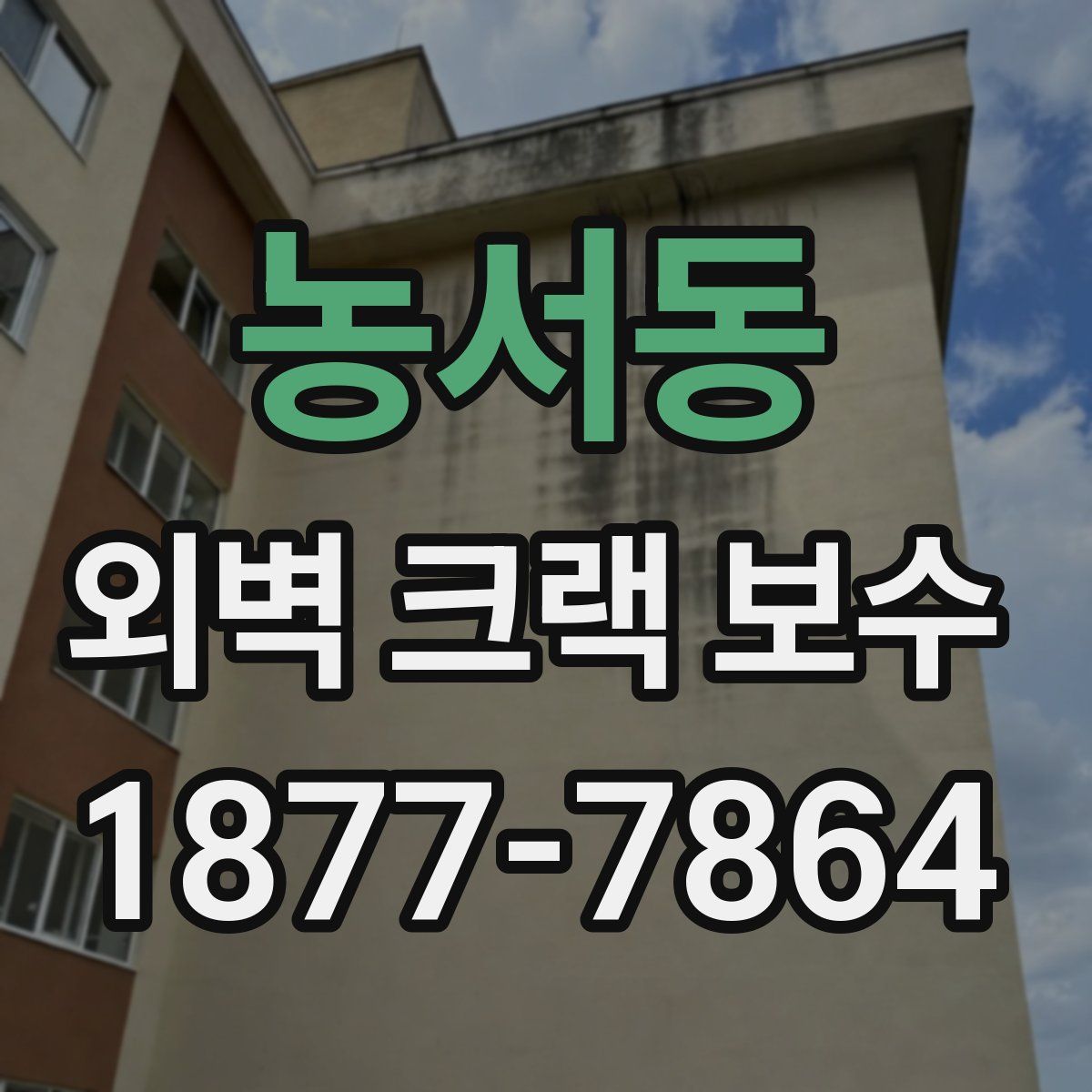 농서동 외벽 크랙 보수