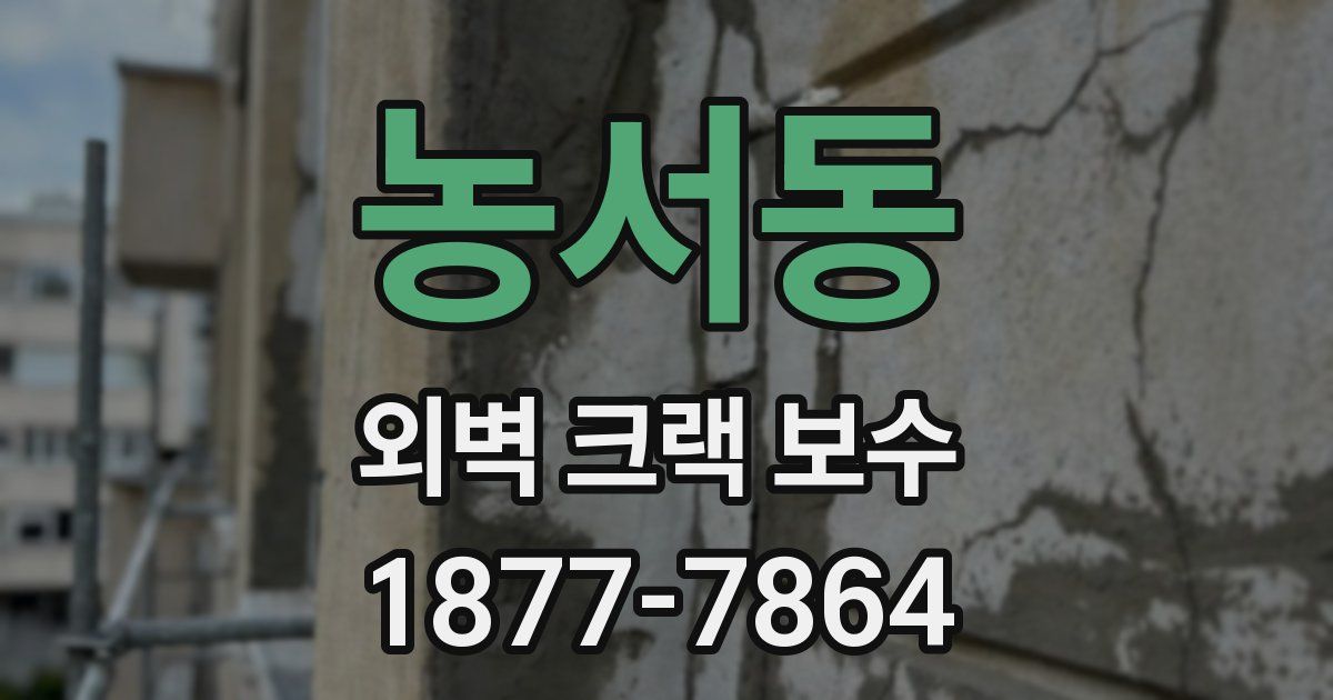 농서동 외벽 크랙 보수