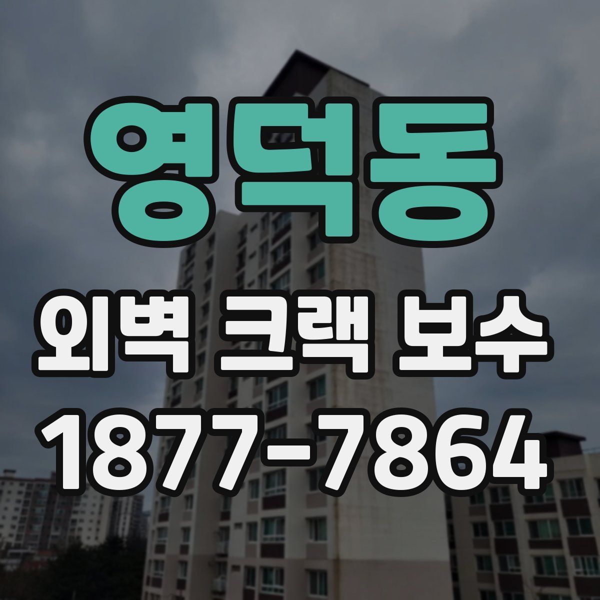 영덕동 외벽 크랙 보수