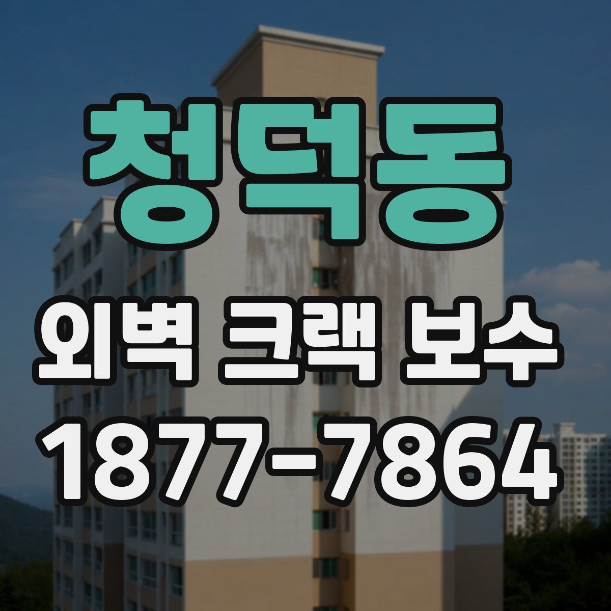 청덕동 외벽 크랙 보수