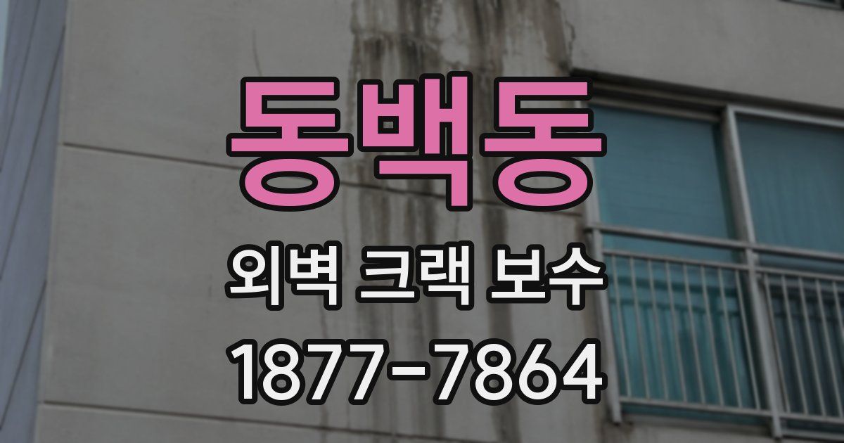 동백동 외벽 크랙 보수