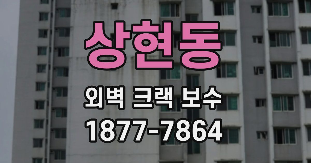 상현동 외벽 크랙 보수