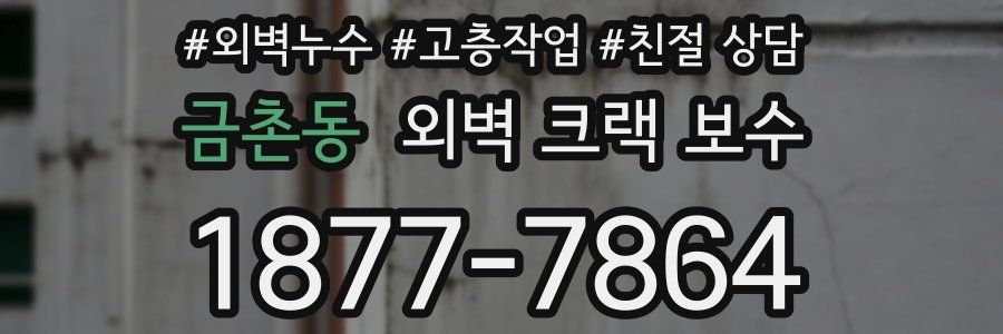 금촌동 외벽 크랙 보수