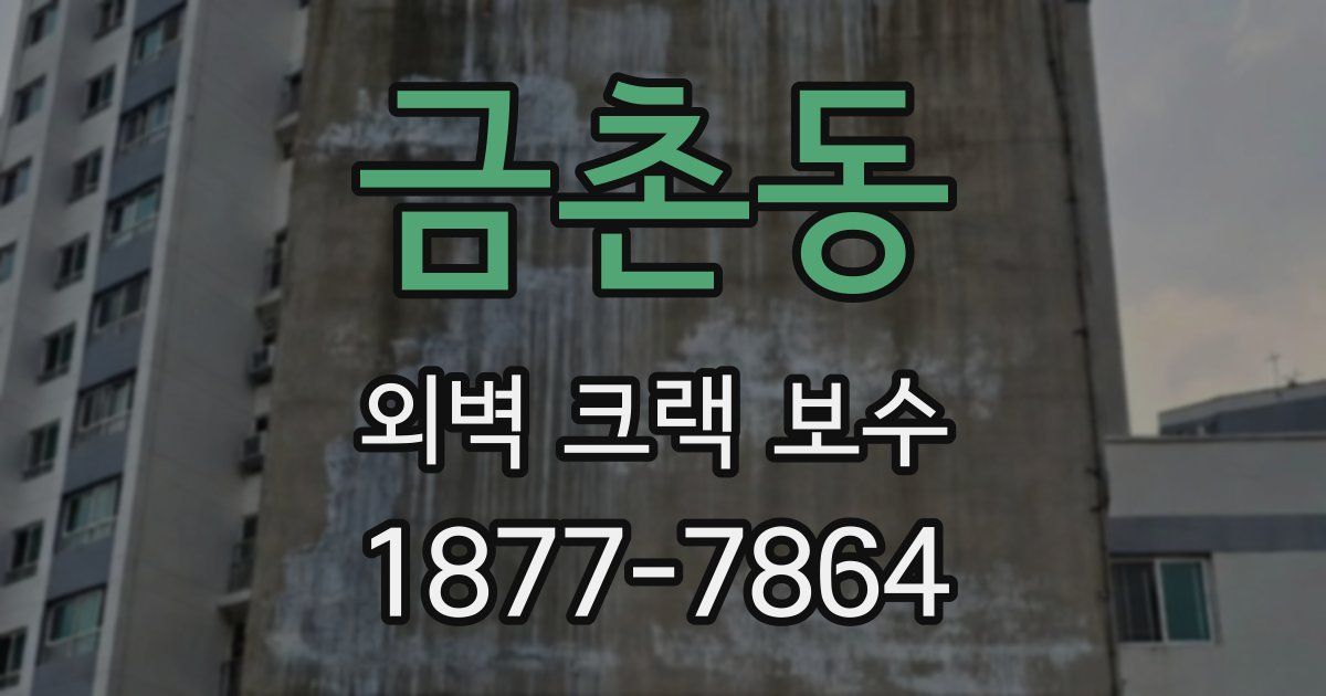 금촌동 외벽 크랙 보수