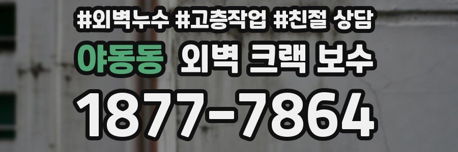 야동동 외벽 크랙 보수