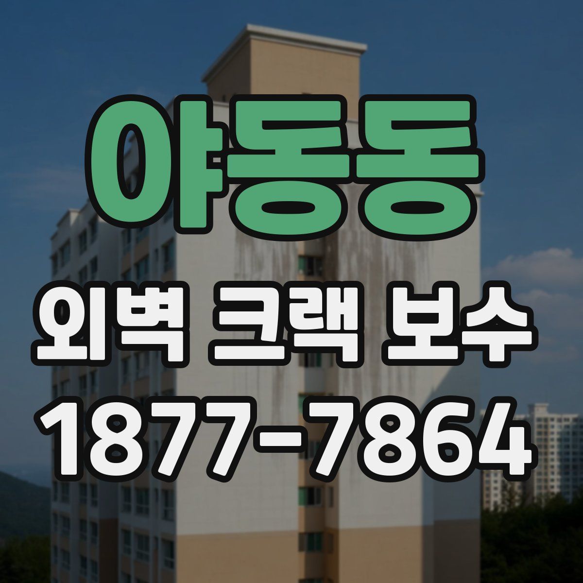 야동동 외벽 크랙 보수