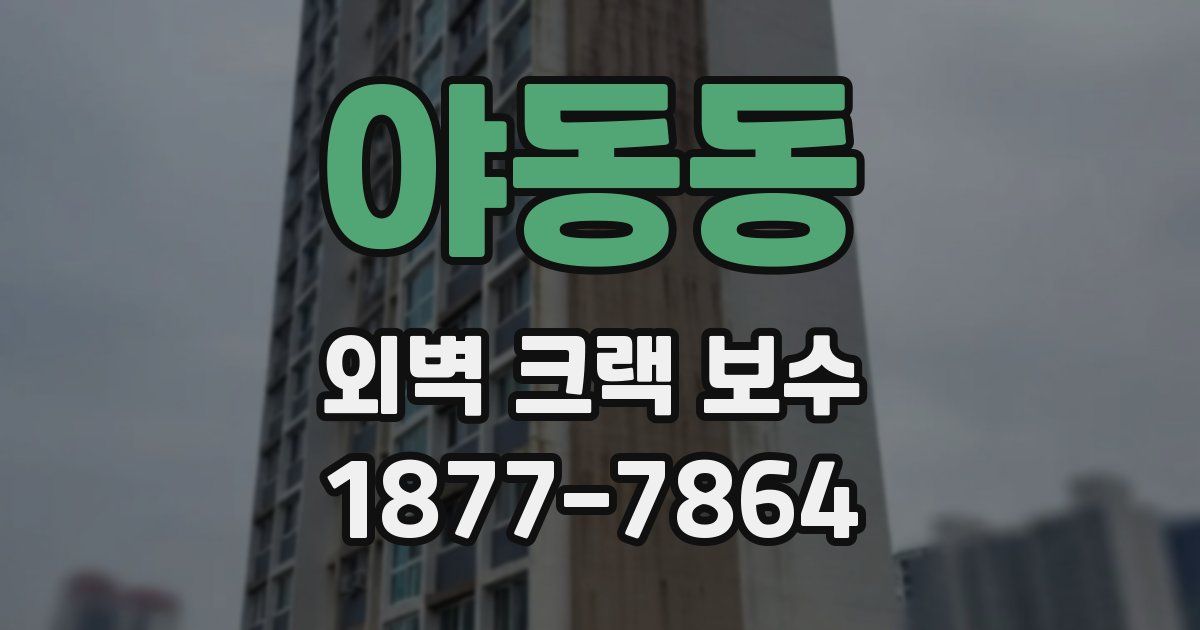 야동동 외벽 크랙 보수