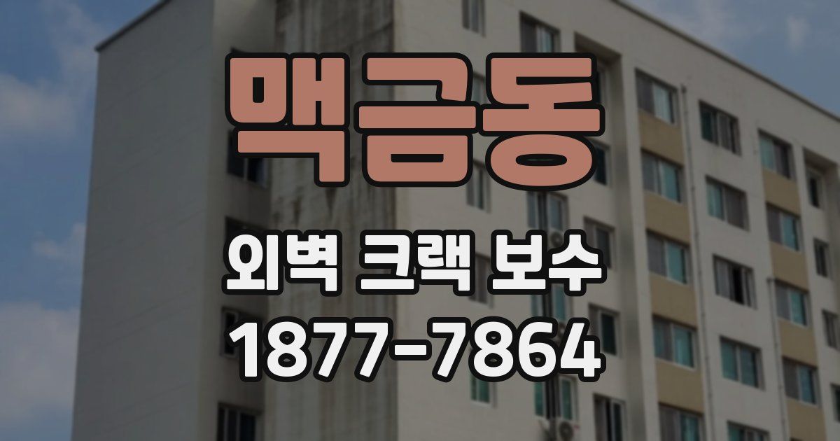 맥금동 외벽 크랙 보수