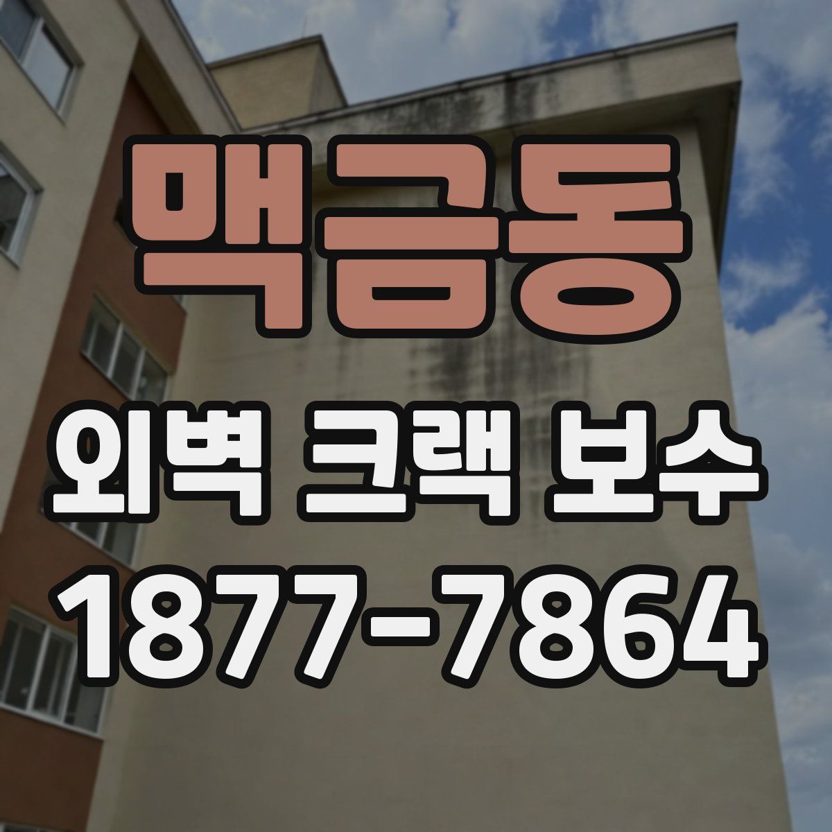 맥금동 외벽 크랙 보수