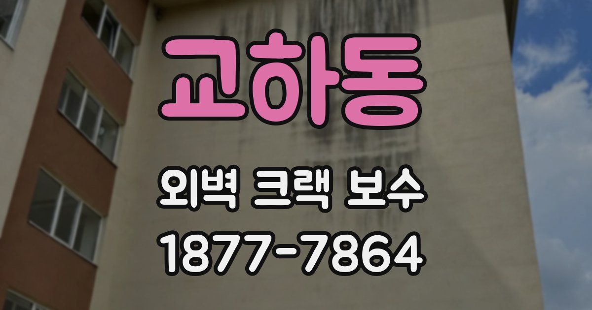 교하동 외벽 크랙 보수