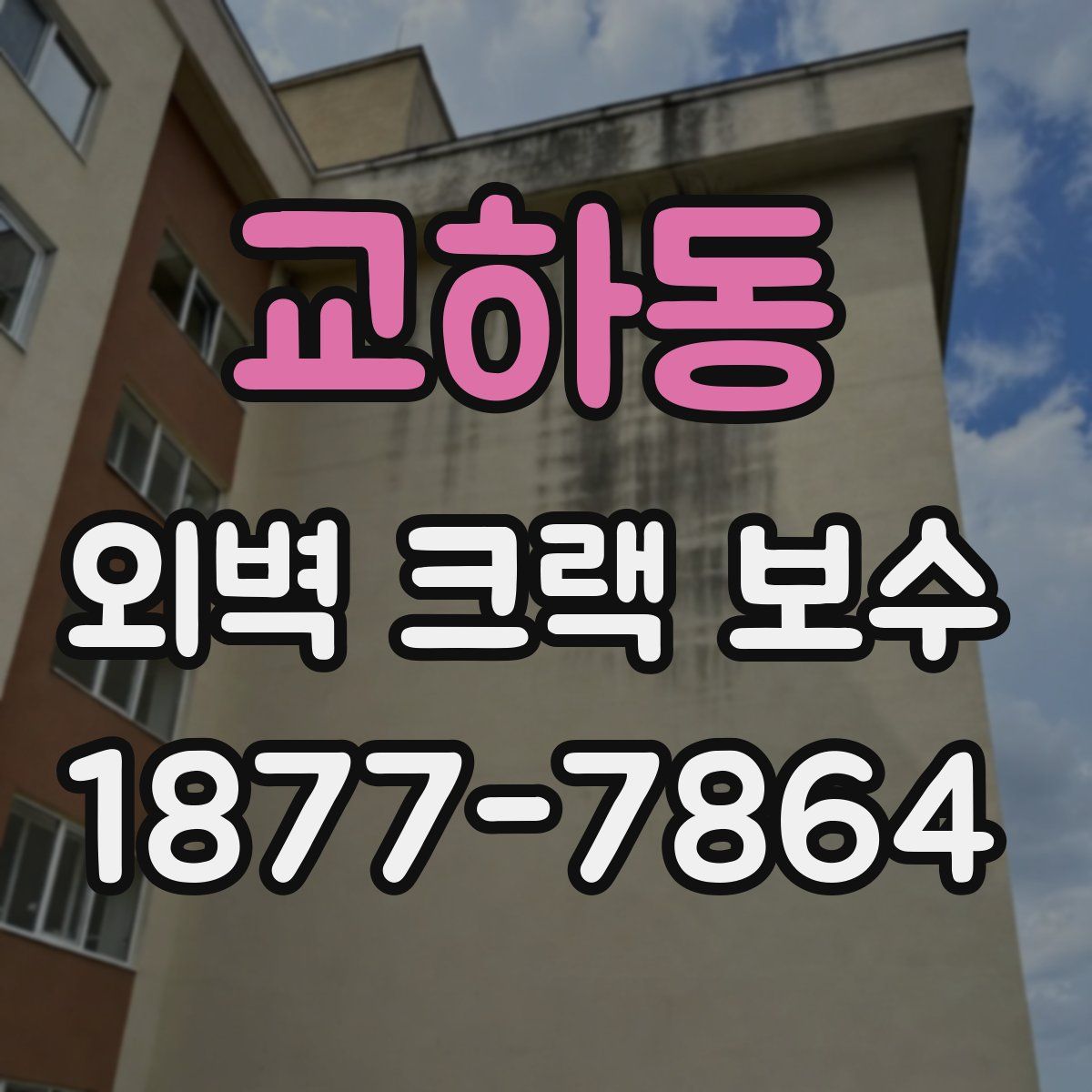 교하동 외벽 크랙 보수