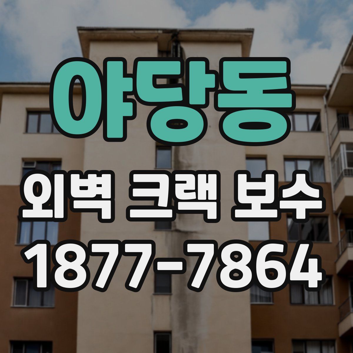 야당동 외벽 크랙 보수