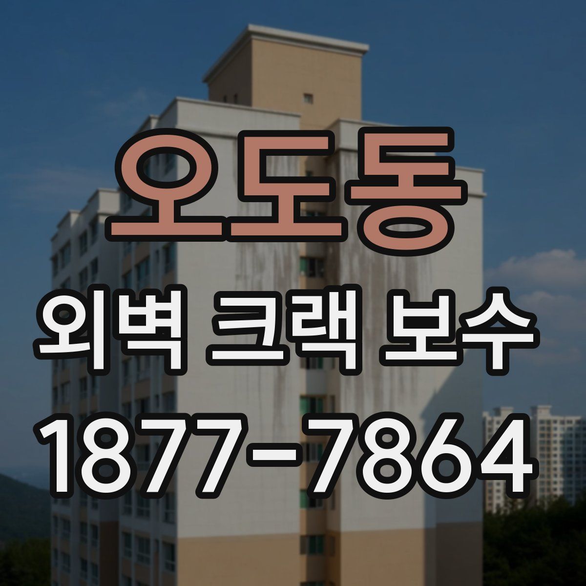 오도동 외벽 크랙 보수