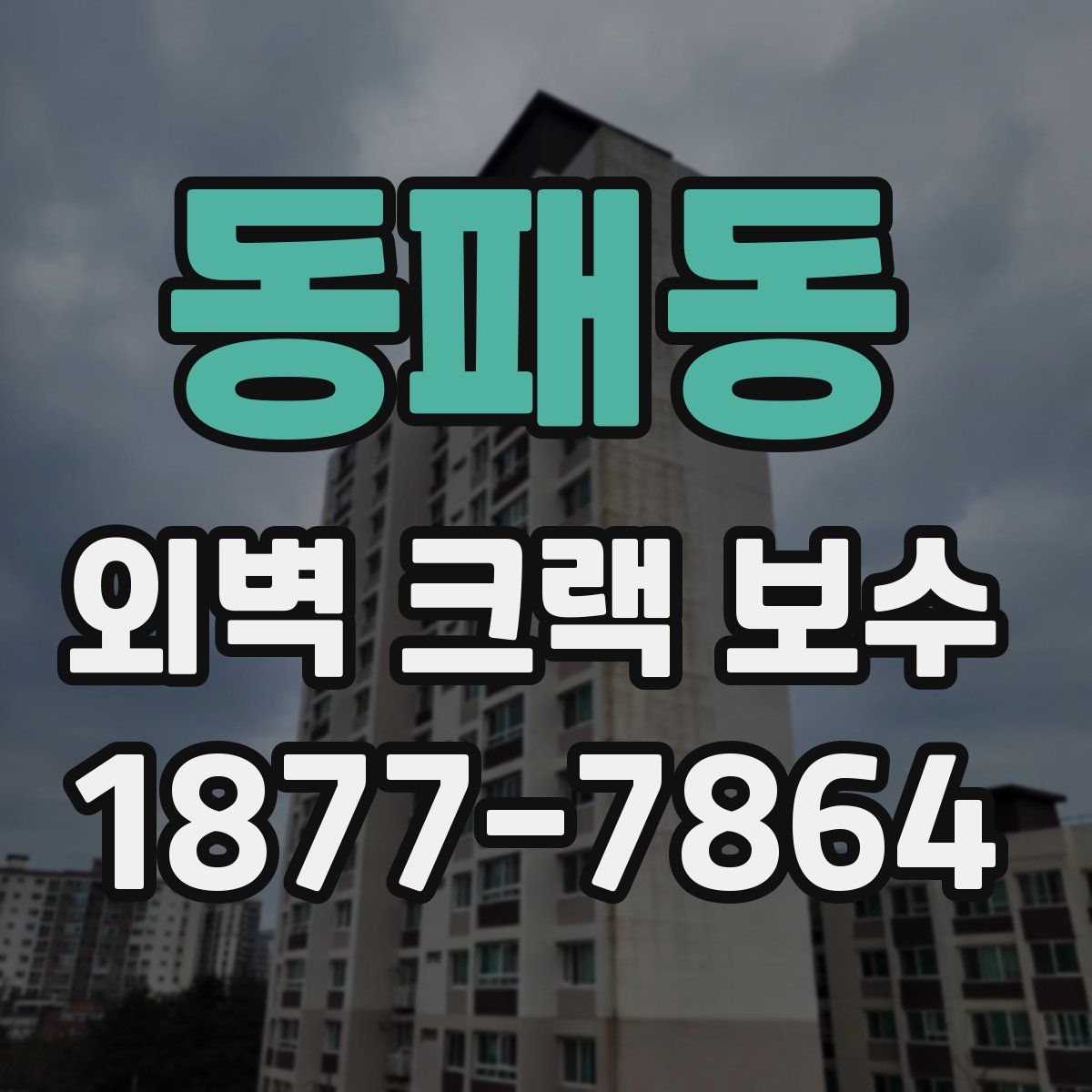 동패동 외벽 크랙 보수