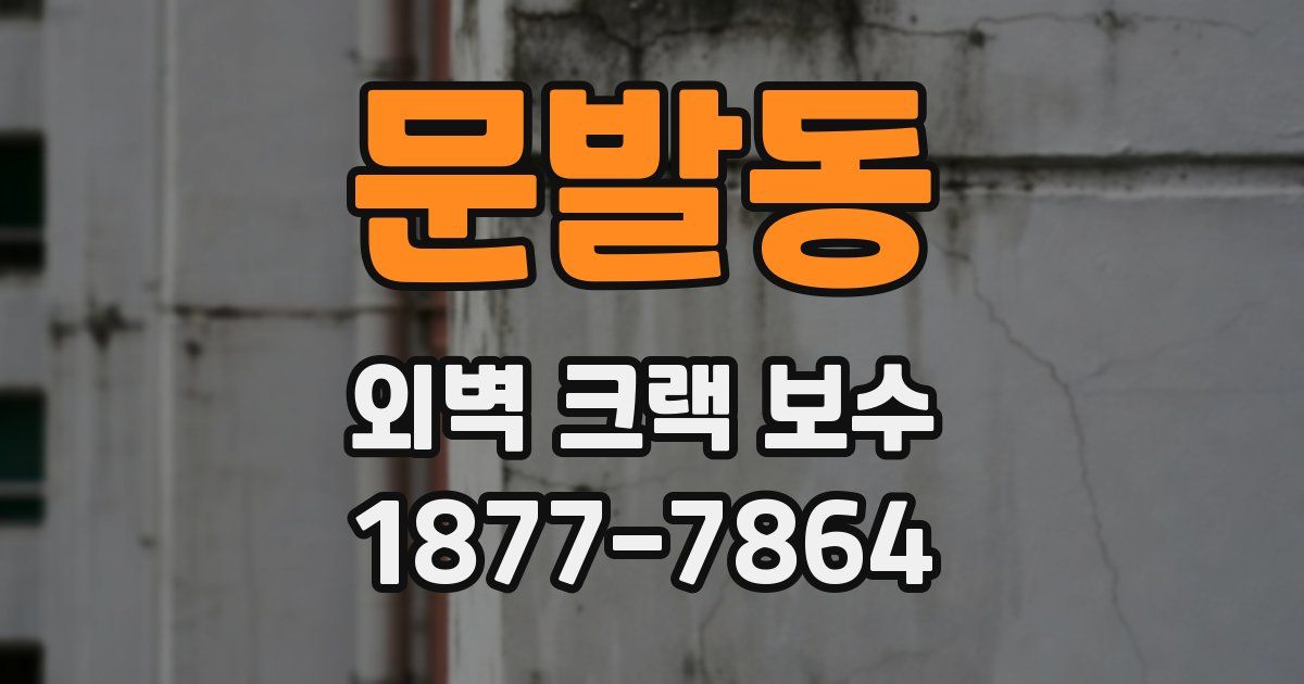 문발동 외벽 크랙 보수