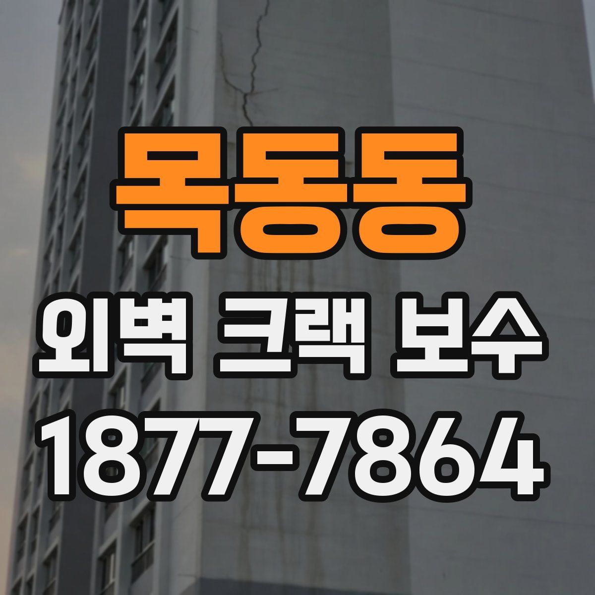목동동 외벽 크랙 보수
