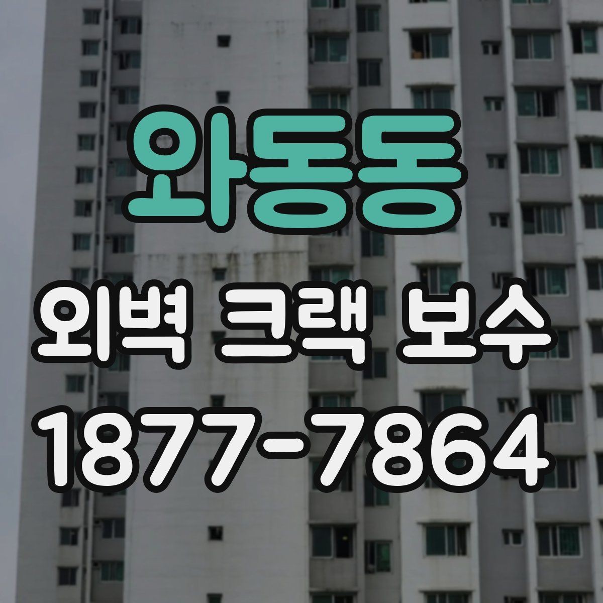와동동 외벽 크랙 보수 시 자재 선택을 잘하는 기준