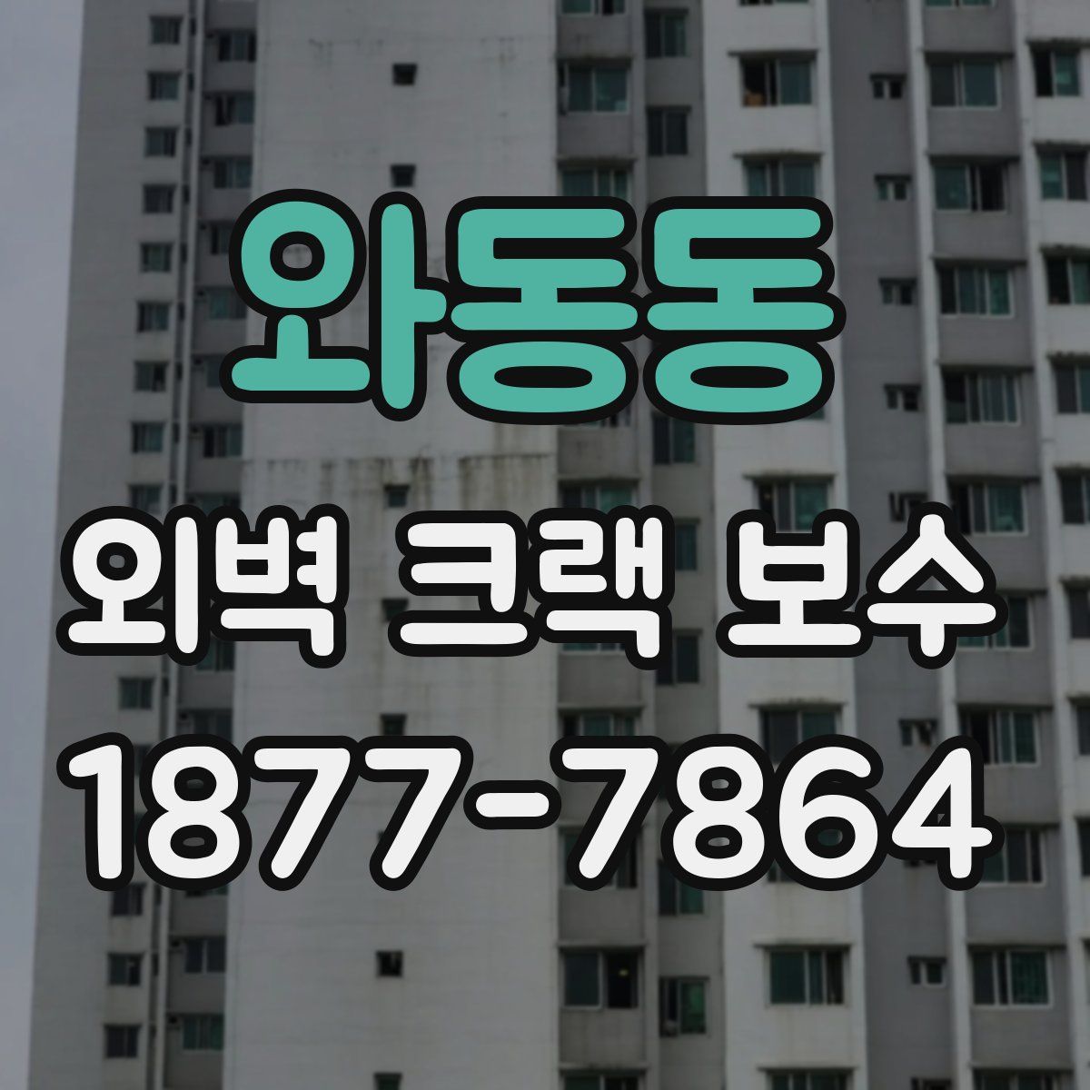 와동동 외벽 크랙 보수