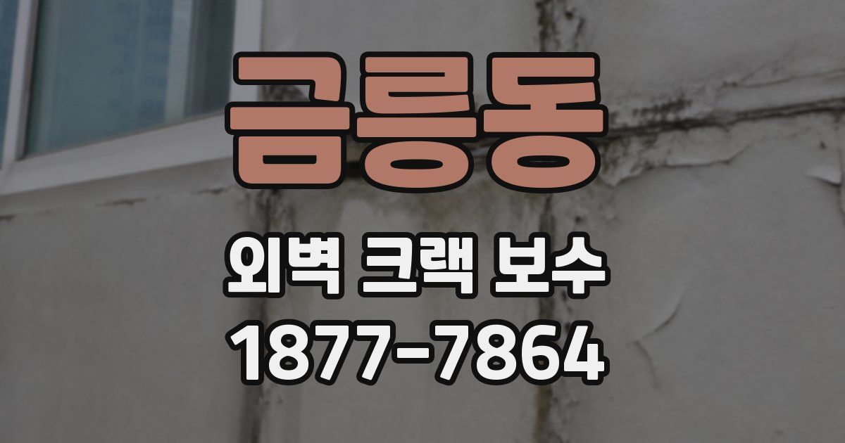 금릉동 외벽 크랙 보수