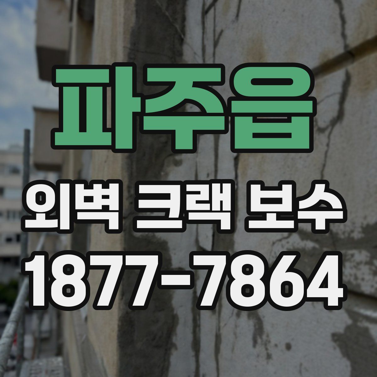 파주읍 외벽 크랙 보수