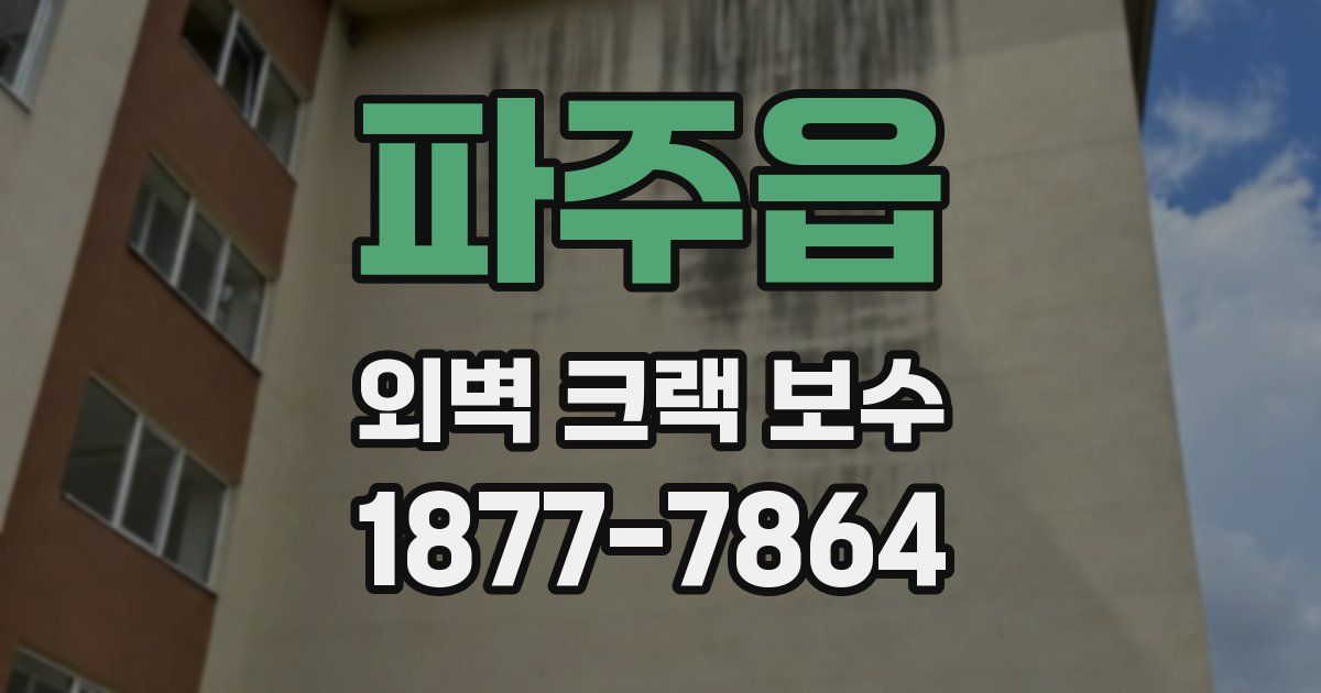 파주읍 외벽 크랙 보수