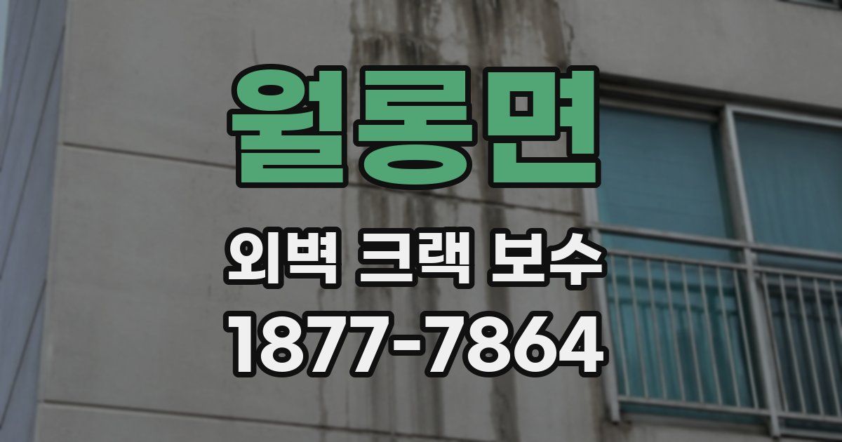 월롱면 외벽 크랙 보수