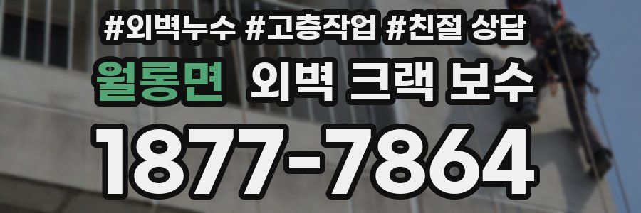월롱면 외벽 크랙 보수