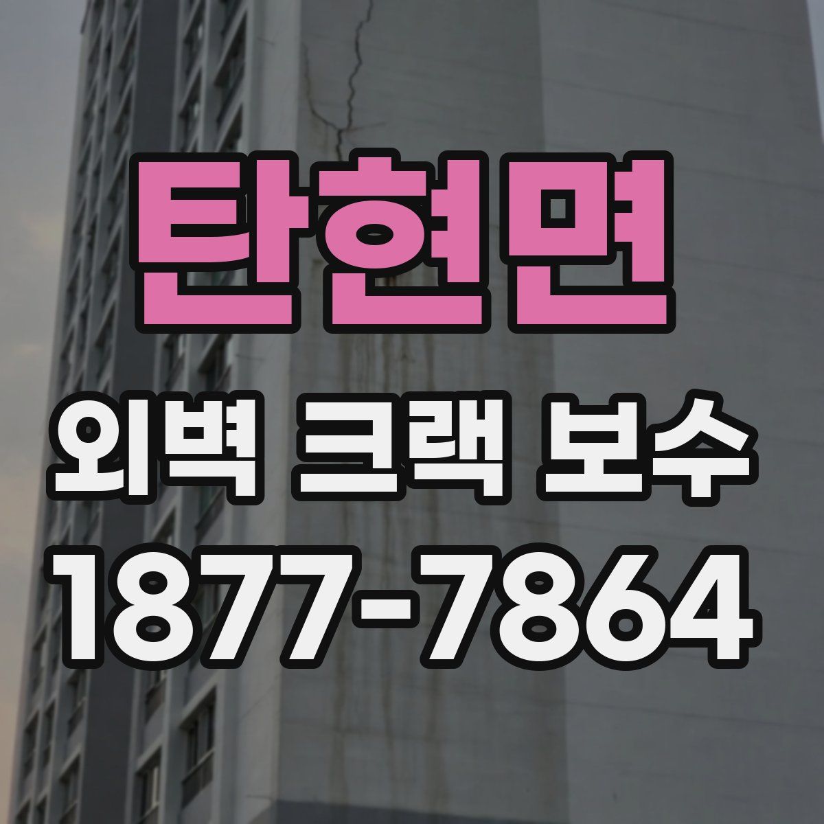 탄현면 외벽 크랙 보수