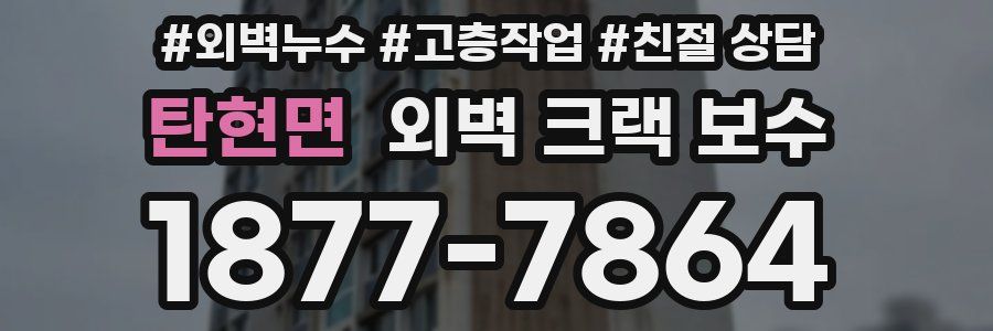 탄현면 외벽 크랙 보수