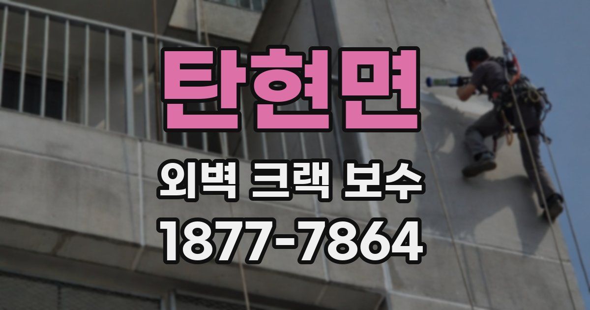 탄현면 외벽 크랙 보수