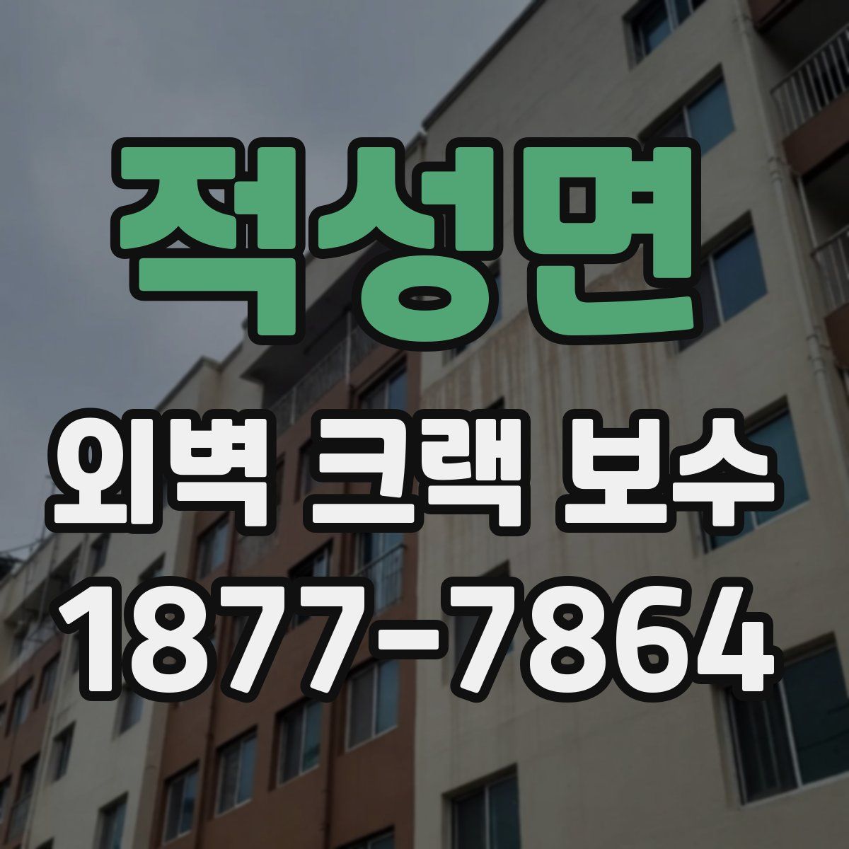 적성면 외벽 크랙 보수