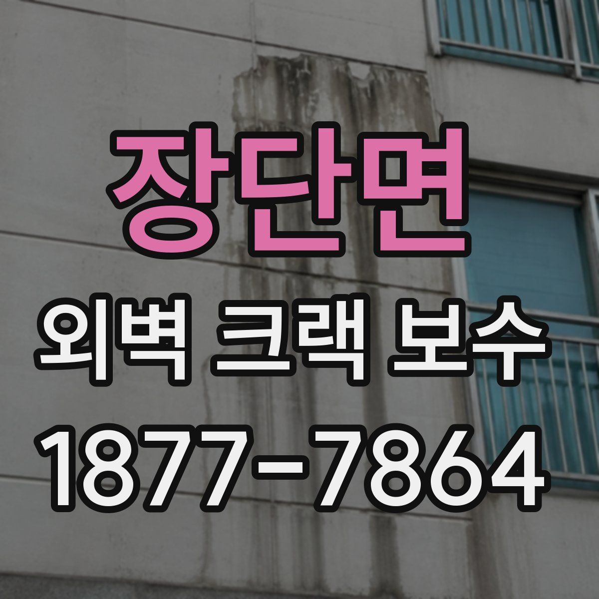 장단면 외벽 크랙 보수