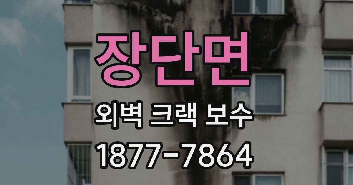 장단면 외벽 크랙 보수
