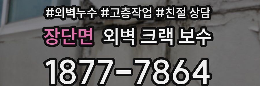 장단면 외벽 크랙 보수