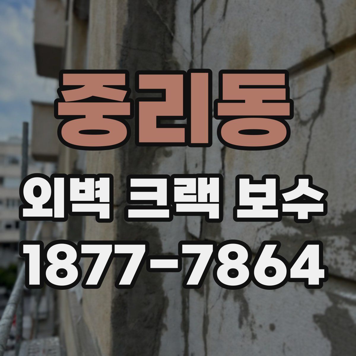 중리동 외벽 크랙 보수