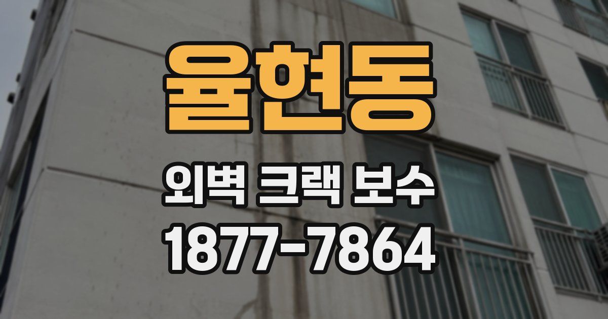 율현동 외벽 크랙 보수