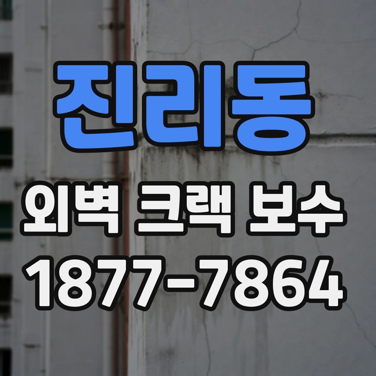 진리동 외벽 크랙 보수