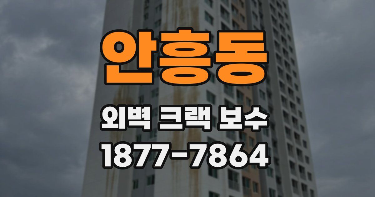 안흥동 외벽 크랙 보수