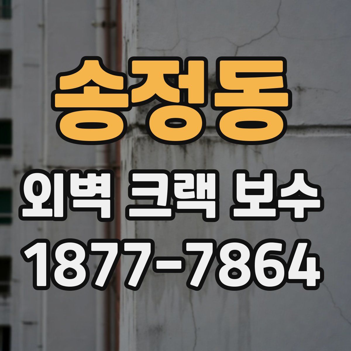 송정동 외벽 크랙 보수