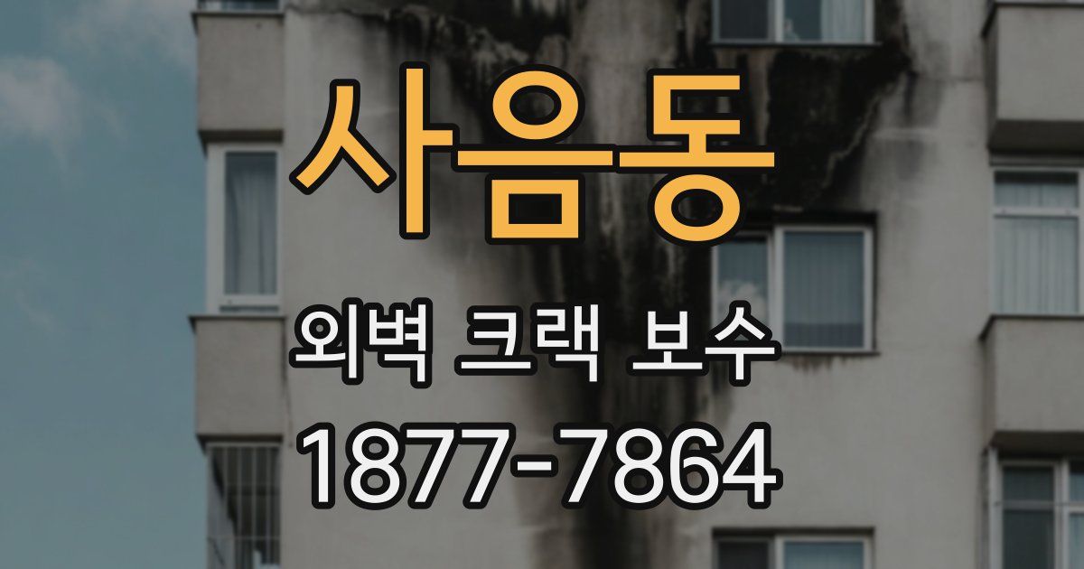 사음동 외벽 크랙 보수
